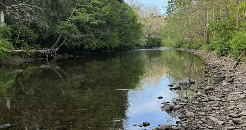Squarewood Acres Campground offers experience